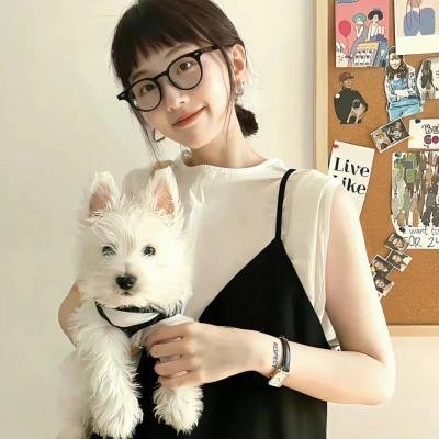 金牌客服董董恩